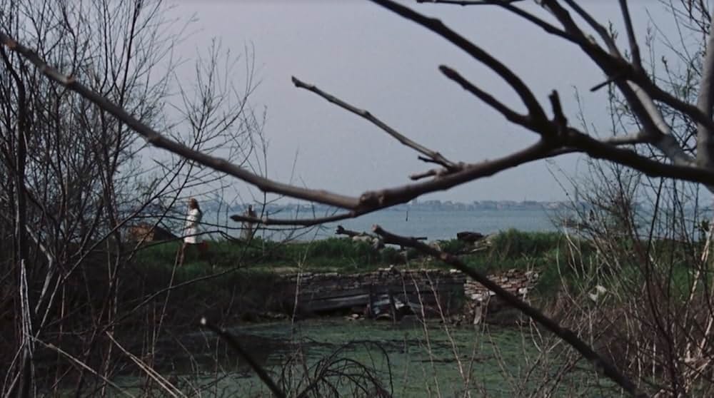 Alla ricerca del piacere（原題）の画像