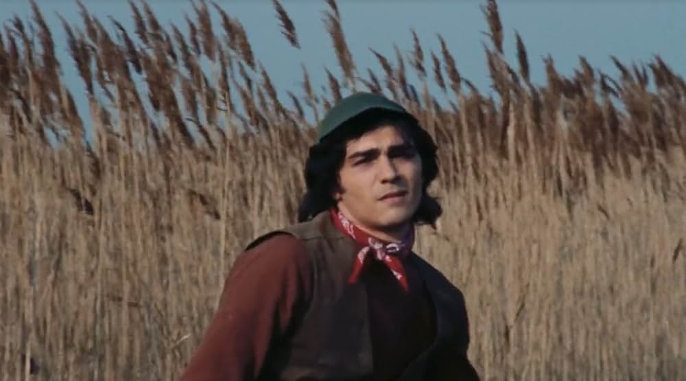 Alla ricerca del piacere（原題）の画像