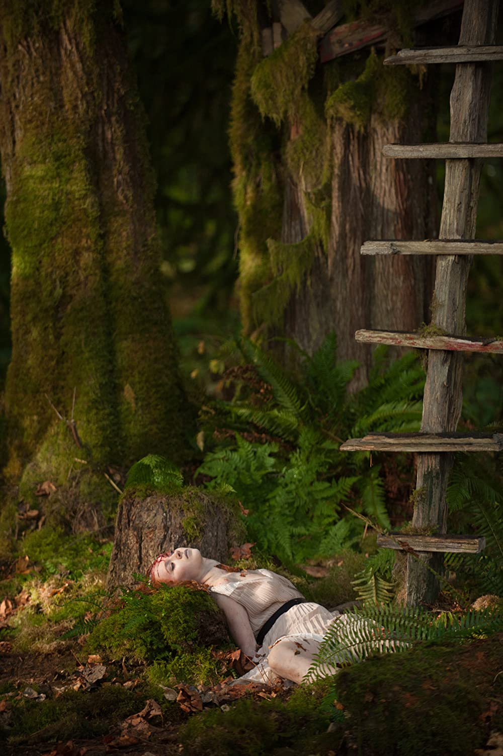 ホーンズ 容疑者と告白の角の画像