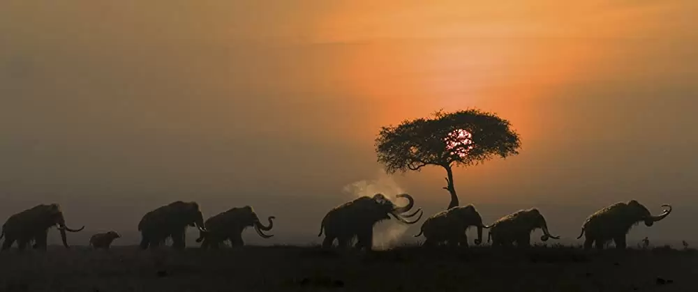 アルファ 帰還（かえ）りし者たちの画像