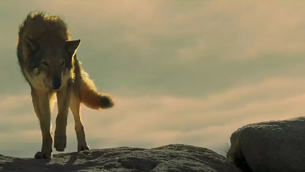 アルファ 帰還（かえ）りし者たちの画像