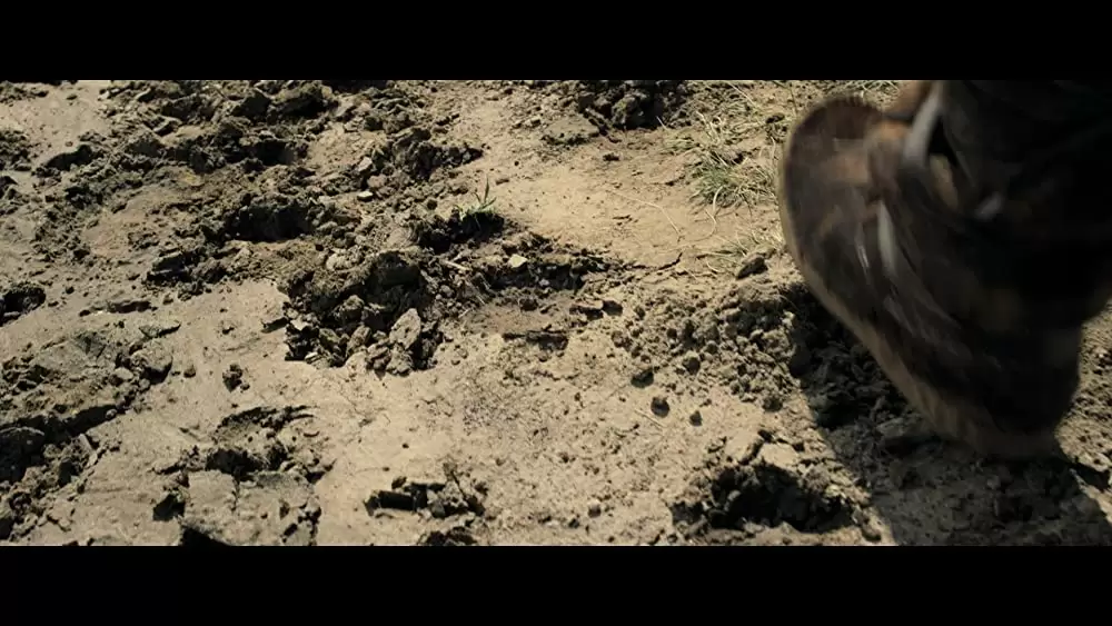 アルファ 帰還（かえ）りし者たちの画像