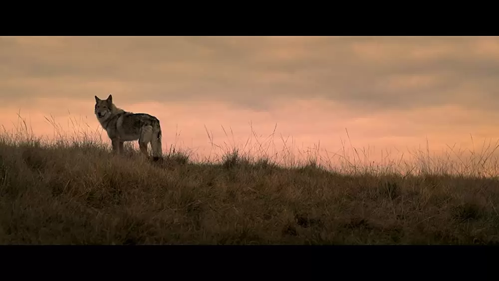 アルファ 帰還（かえ）りし者たちの画像