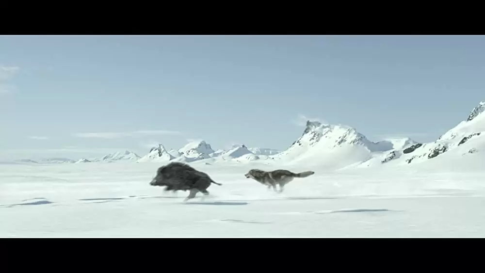 アルファ 帰還（かえ）りし者たちの画像