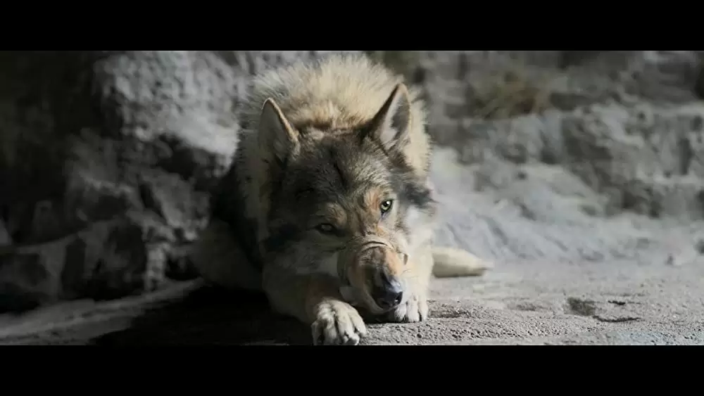 アルファ 帰還（かえ）りし者たちの画像