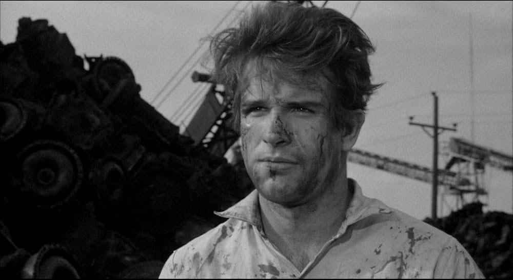 ミッキー・ワンの画像