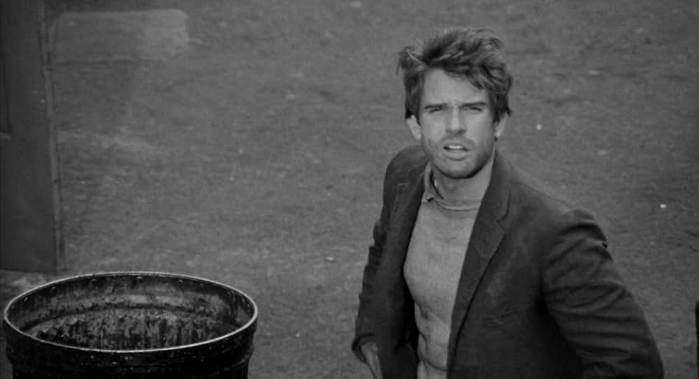 ミッキー・ワンの画像