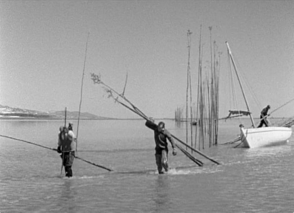 世界の存続のためにの画像