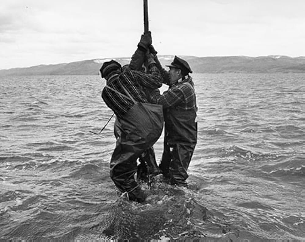 世界の存続のためにの画像