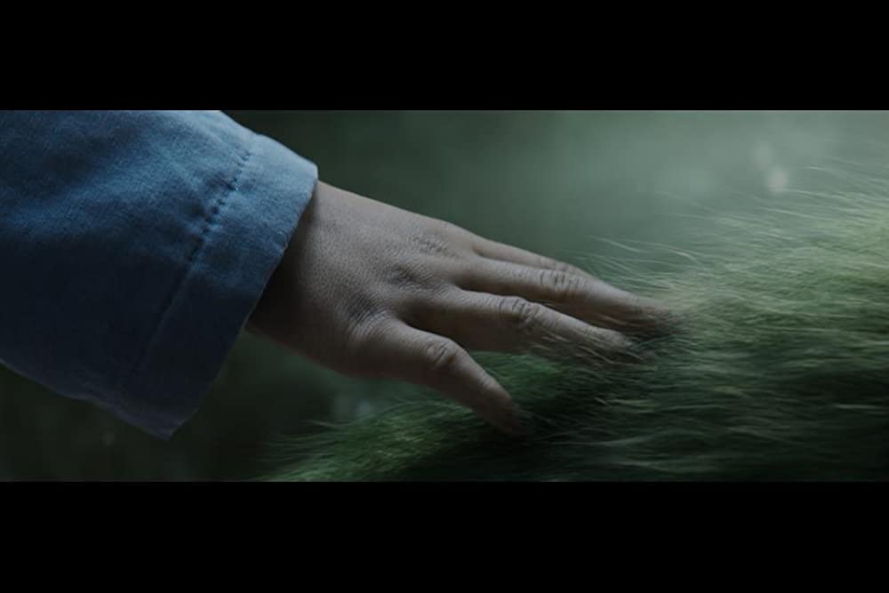 ピートと秘密の友達の画像