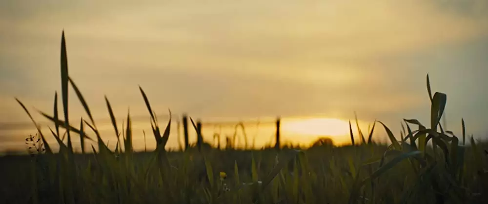 ブライトバーン/恐怖の拡散者の画像