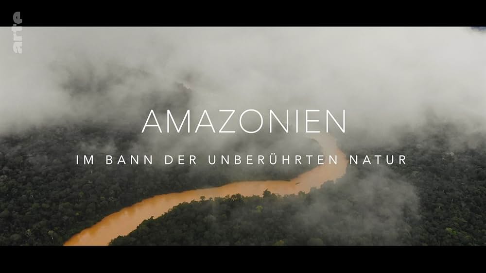 Dark Green（原題）の写真