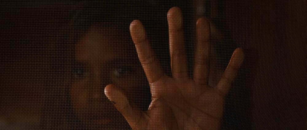 オーストラリアの画像