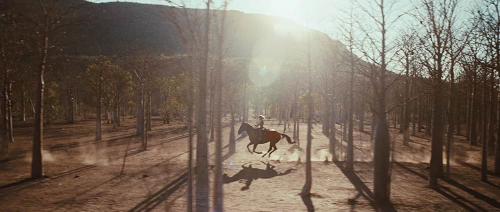 オーストラリアの画像