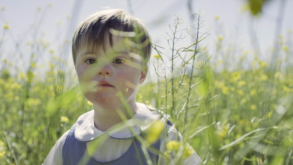 たくさんの黄色の写真