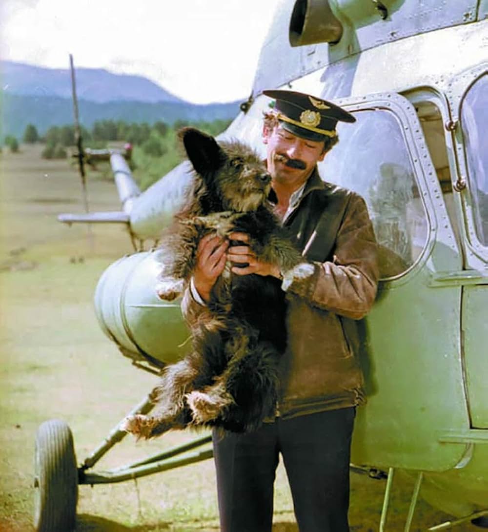 「ミミノ」の画像