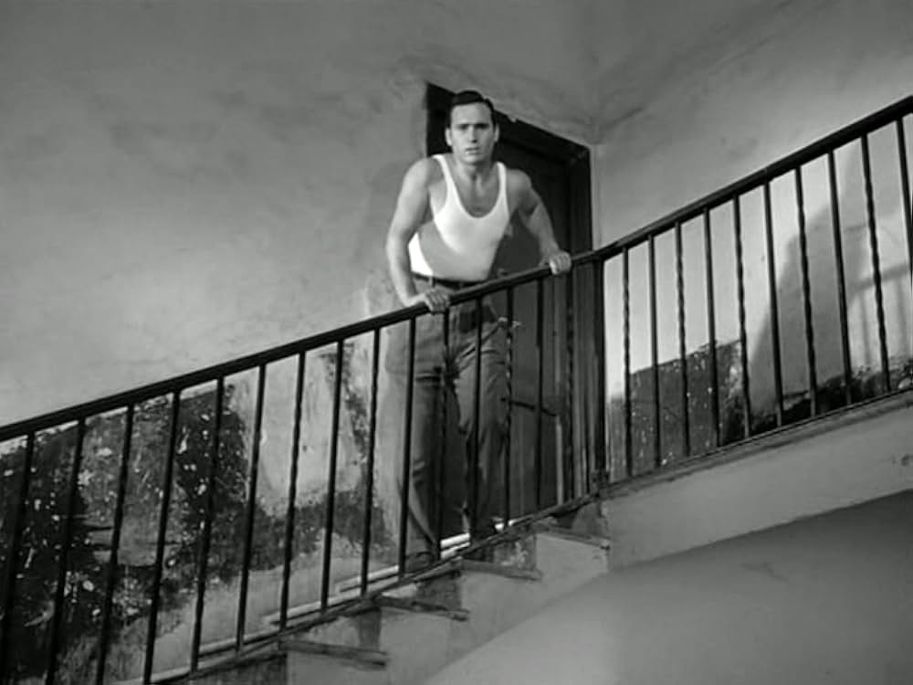 Domenica d'agosto（原題）の画像