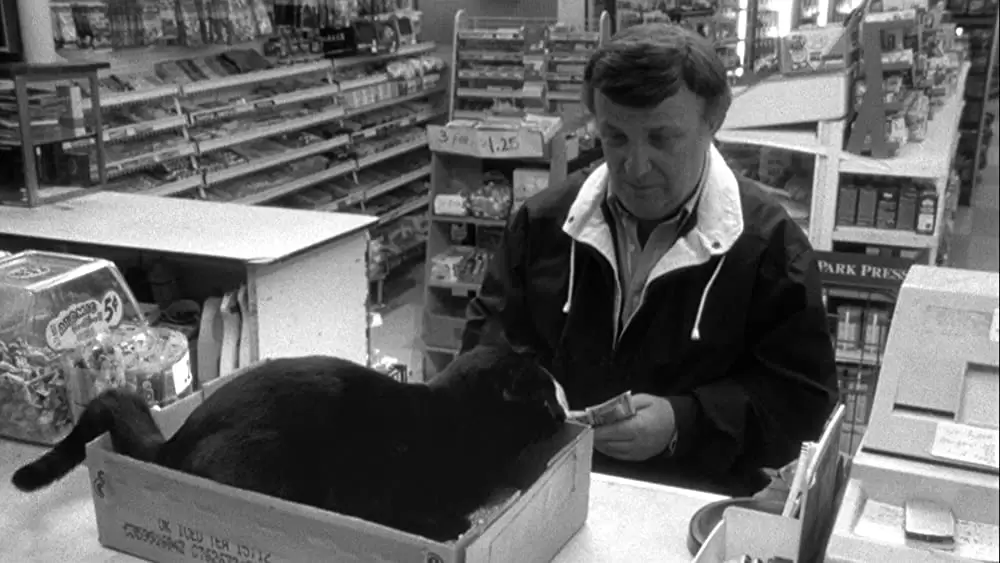 クラークスの画像