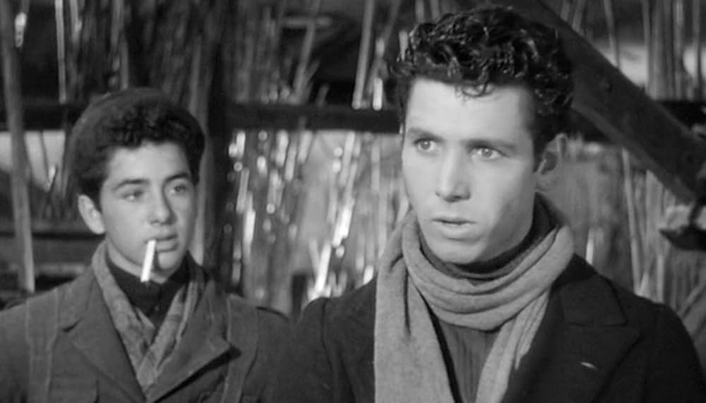 Sotto il sole di Roma（原題）の画像