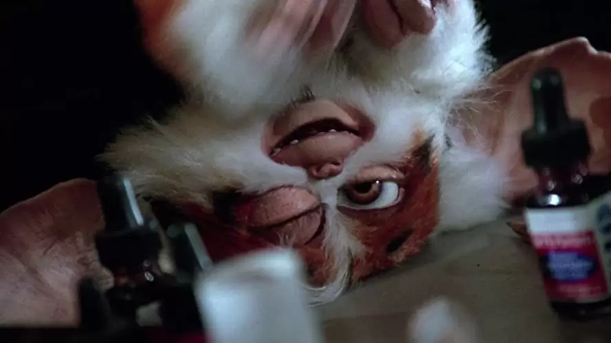 グレムリン2／新種誕生の画像