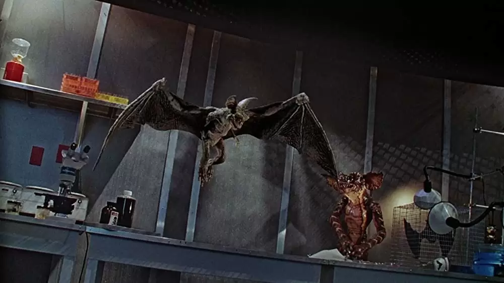 グレムリン2／新種誕生の画像