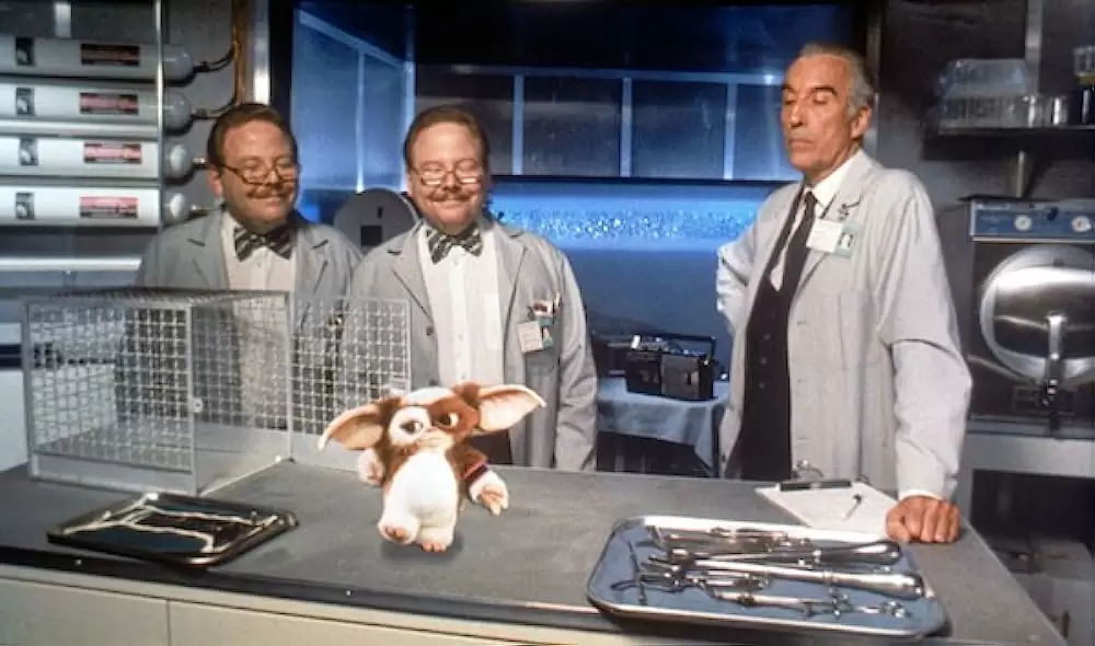 グレムリン2／新種誕生の画像