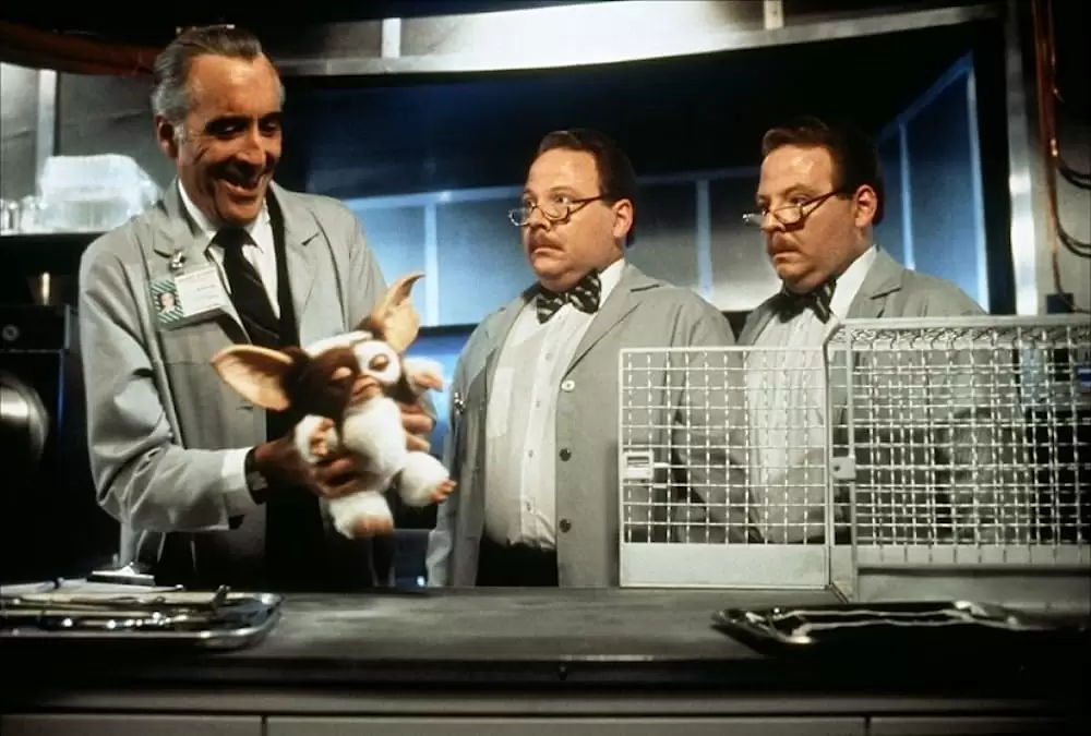 グレムリン2／新種誕生の画像