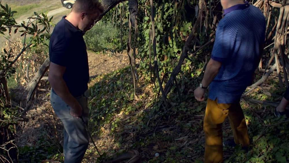 恋するスピヴァクの画像