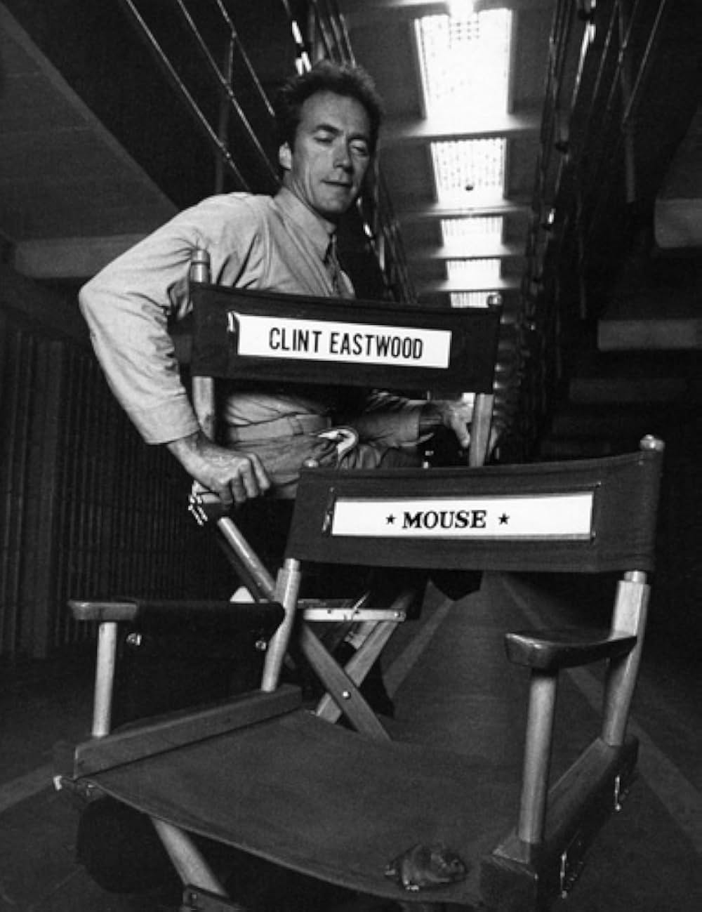 アルカトラズからの脱出の画像