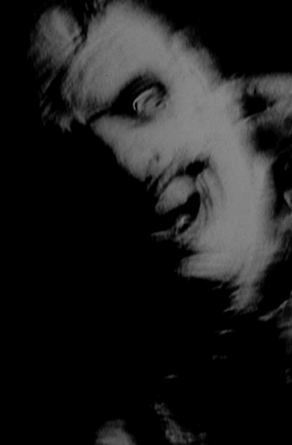 テキサス・チェーンソーの画像