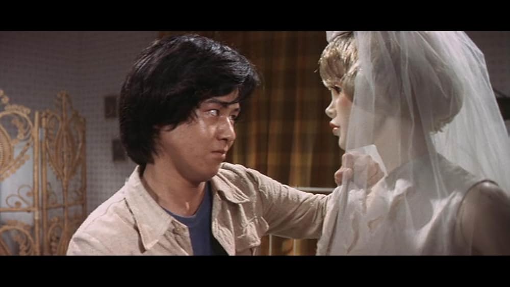 真夜中の妖精の画像