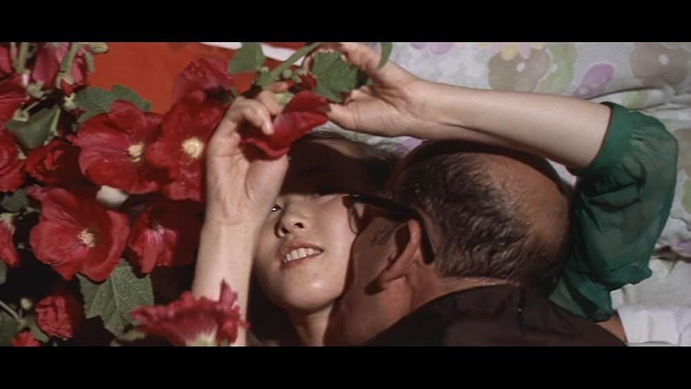 真夜中の妖精の画像