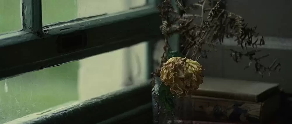 わたしを離さないでの画像