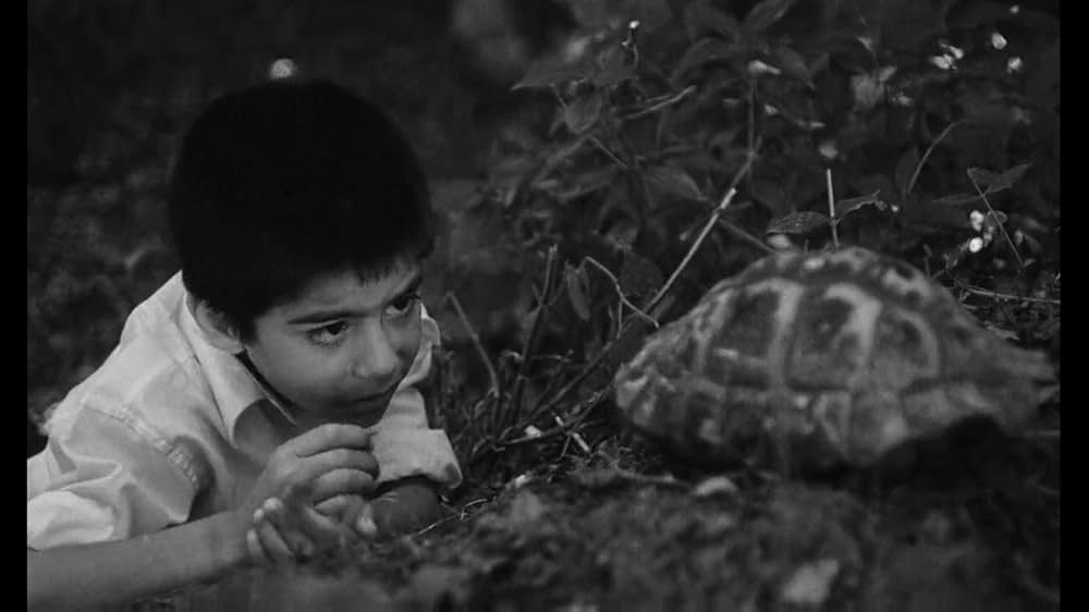 カサバー町の画像