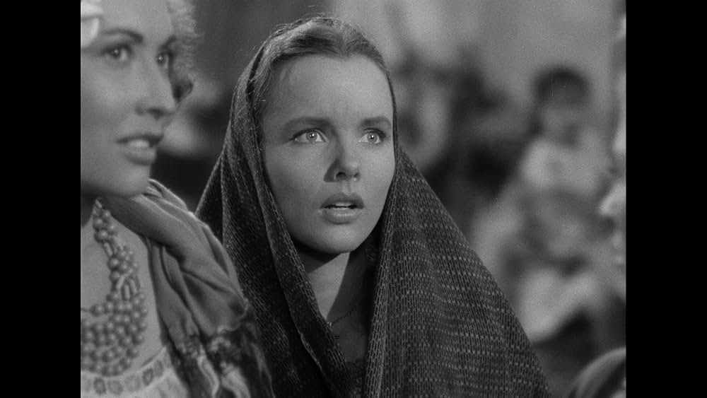 桃色の馬に乗れの画像