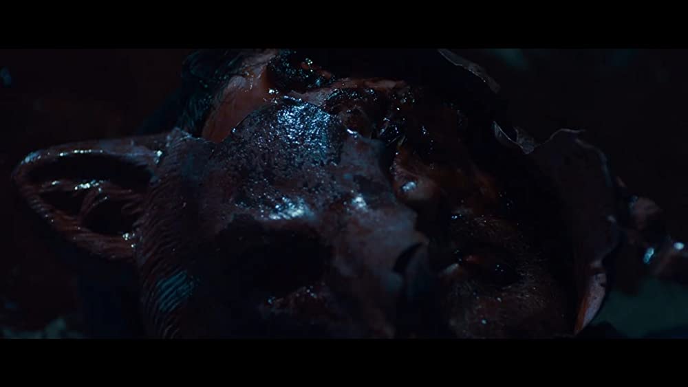 サプライズの画像