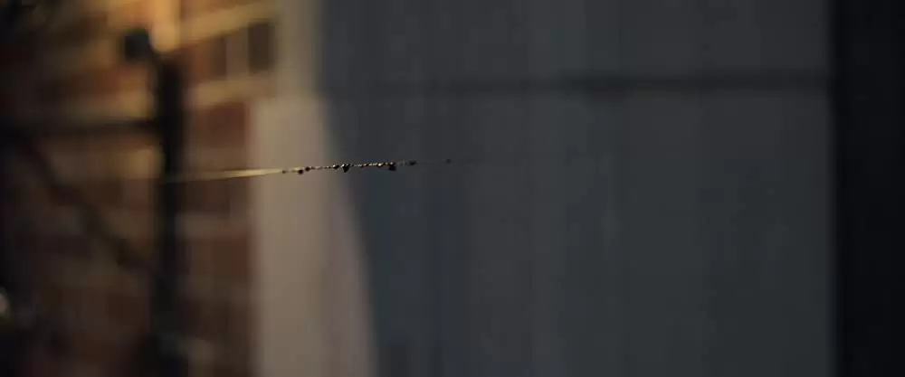 サプライズの画像