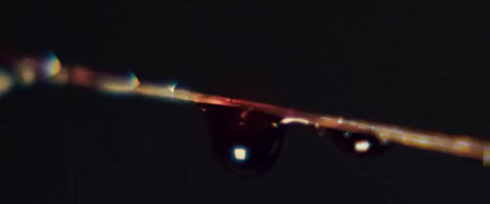 サプライズの画像