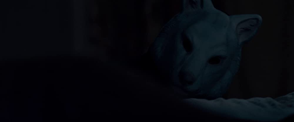 サプライズの画像