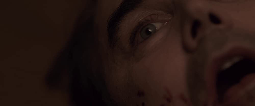 サプライズの画像