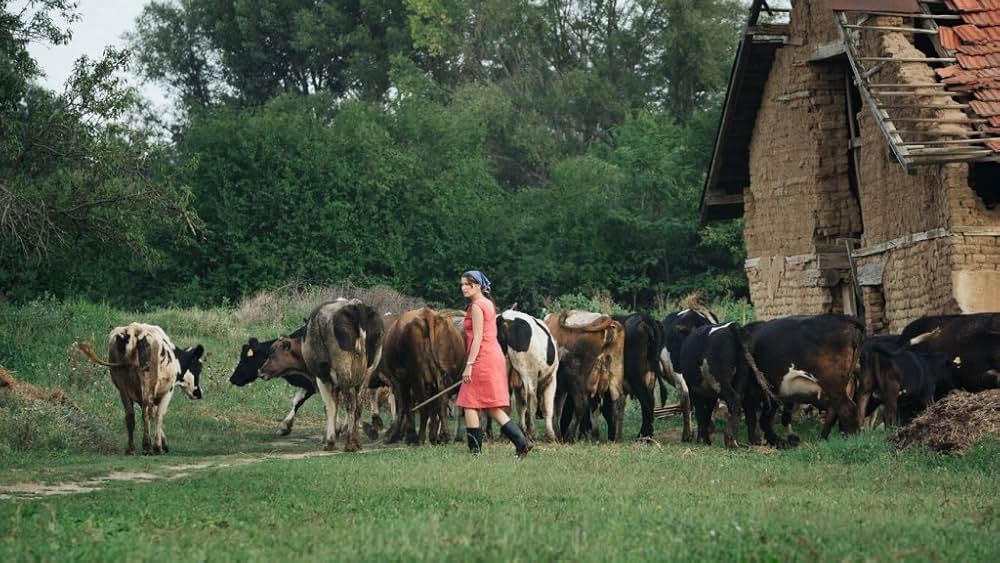 地平線の彼方の画像