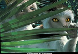 ダイナソーの画像