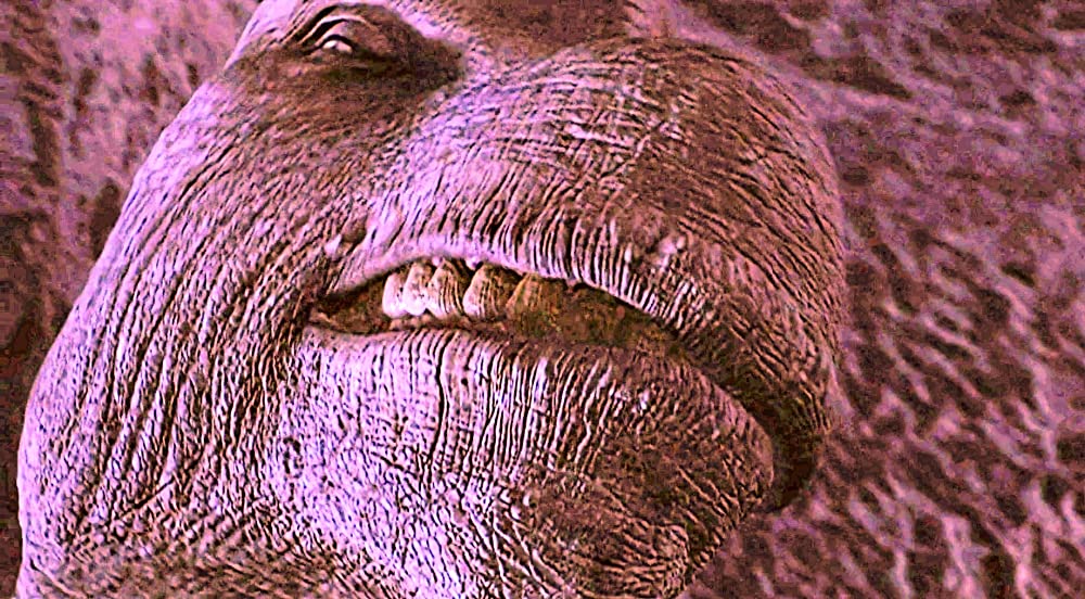 ダイナソーの画像