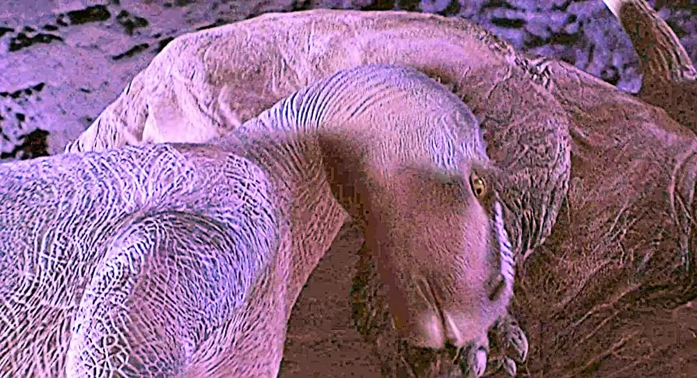 ダイナソーの画像