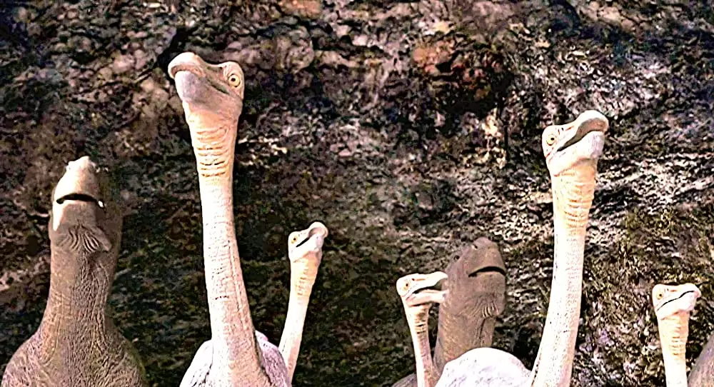 ダイナソーの画像