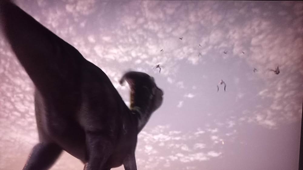 ダイナソーの画像