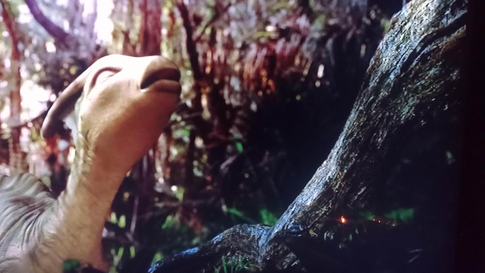 ダイナソーの画像