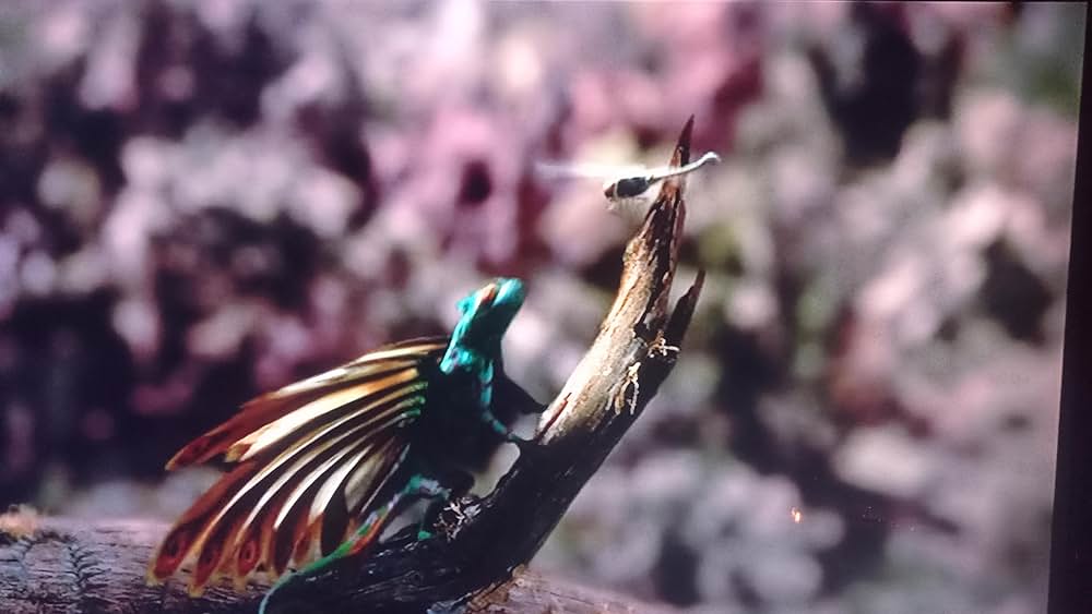 ダイナソーの画像