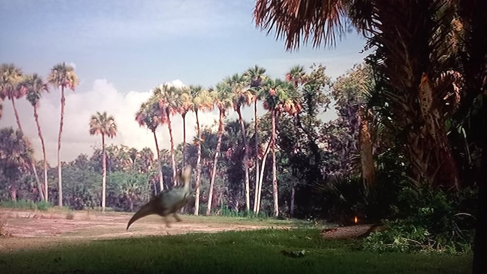 ダイナソーの画像