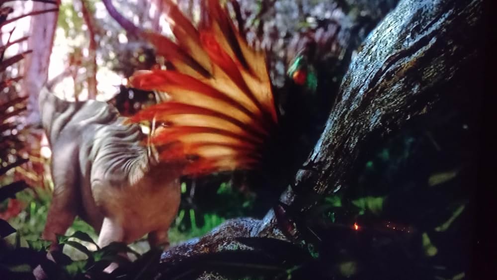 ダイナソーの画像